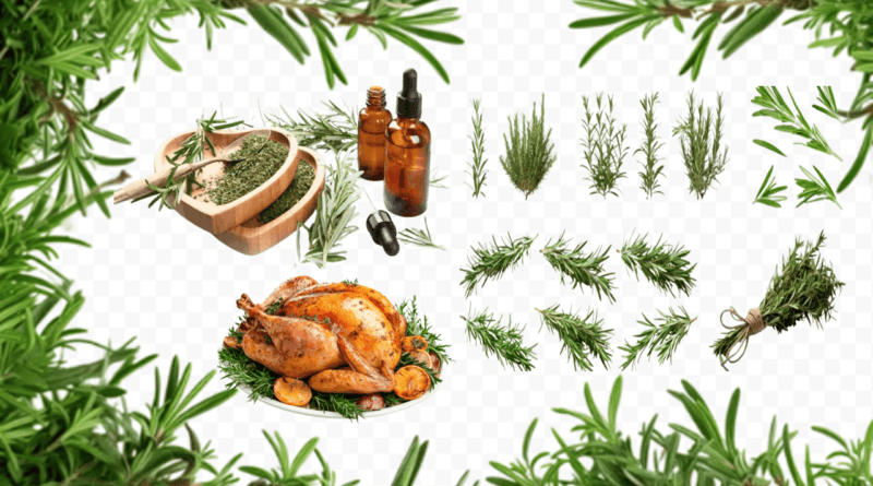 rosemary