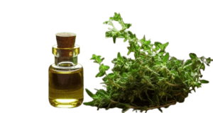 thymus_vulgaris_oil