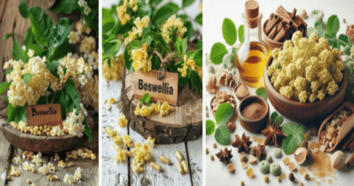 Boswellia Serrata Rituals