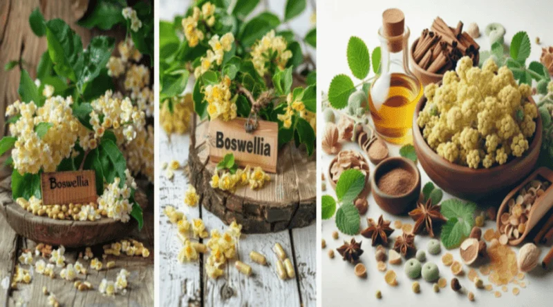 Boswellia Serrata Rituals