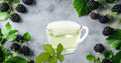 The Healing Power of Blackberry Leaf Tea