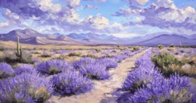 Lavandula angustifolia var deserticola Rituals